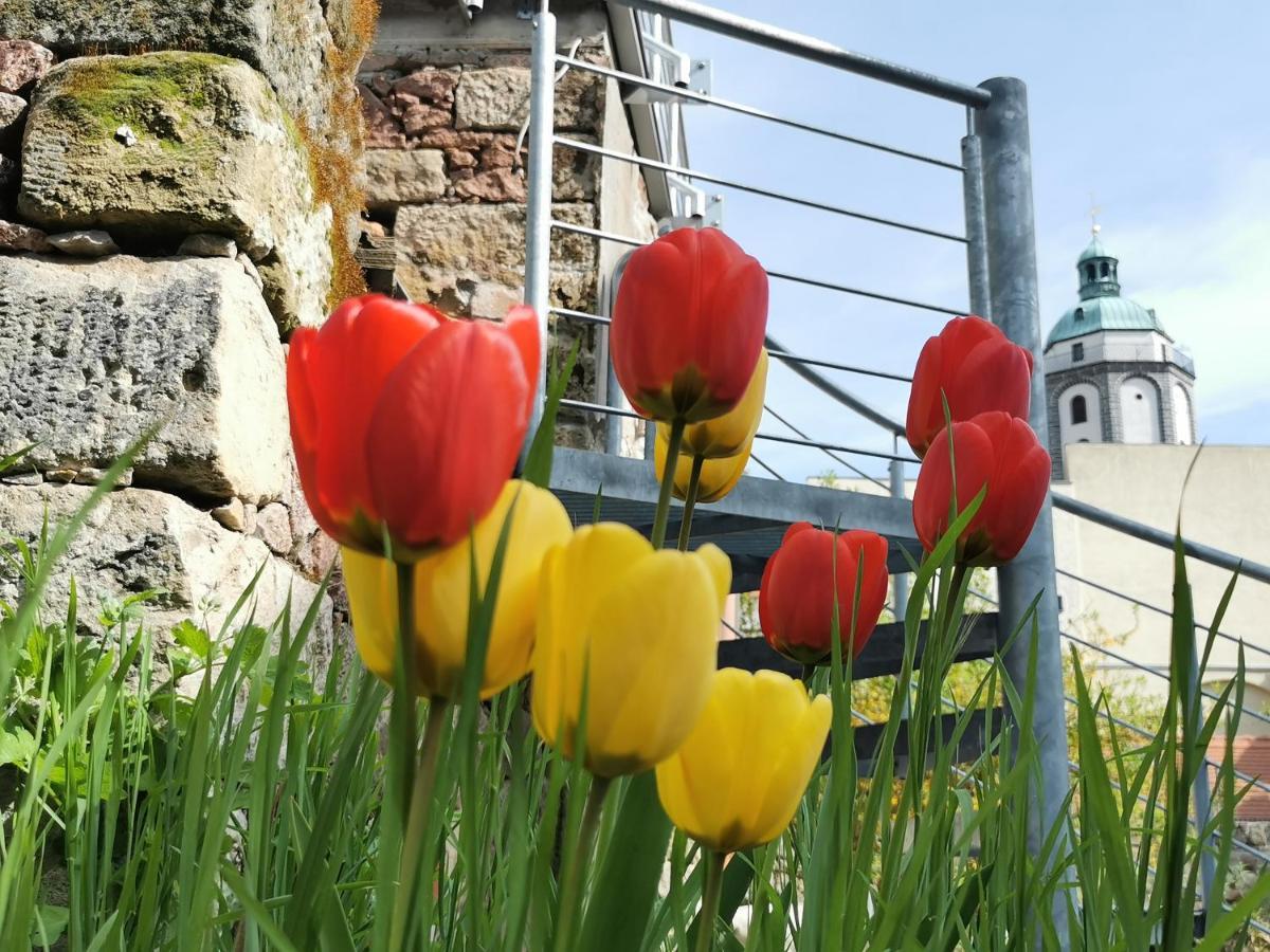 Fynbos Studio Dg In Der Altstadt, Frauenkirchenblick, Parkplatz Meißen Eksteriør bilde