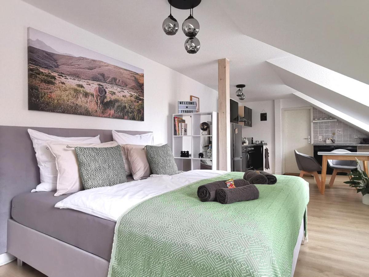 Fynbos Studio Dg In Der Altstadt, Frauenkirchenblick, Parkplatz Meißen Eksteriør bilde